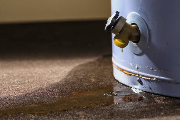 Best Mold removal after water damage  in Ocean Acres, NJ