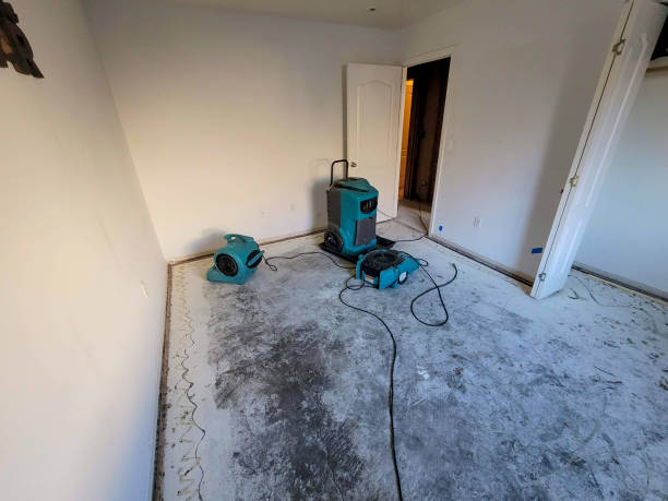 Best Flood damage cleanup  in Ocean Acres, NJ