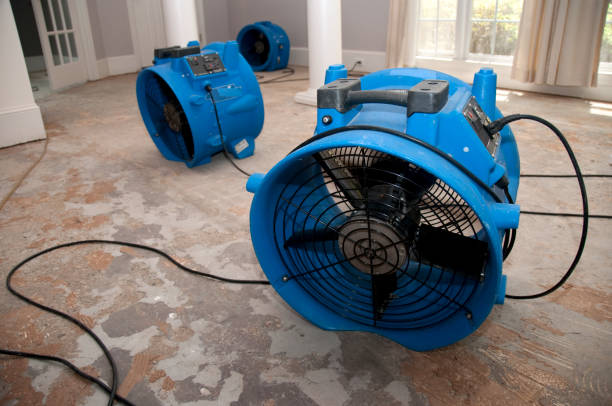 Best 24/7 water damage repair  in Ocean Acres, NJ