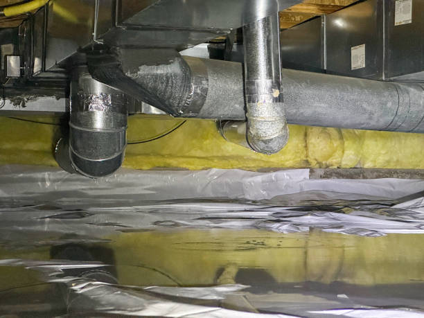 Best Water damage restoration near me  in Ocean Acres, NJ