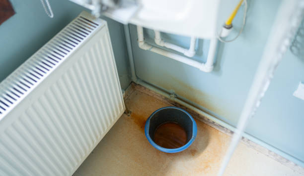Best Carpet water damage restoration  in Ocean Acres, NJ