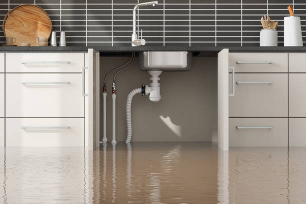 Best Basement water damage restoration  in Ocean Acres, NJ