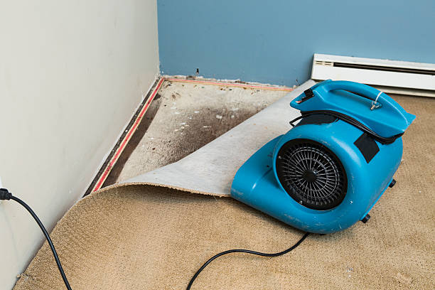 Best Carpet water damage restoration  in Ocean Acres, NJ